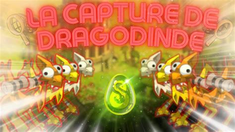 TOUT SAVOIR sur la CAPTURE de DRAGODINDE !! .